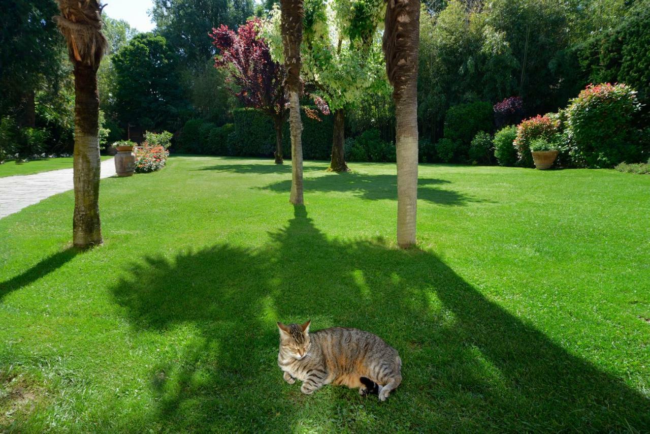 Bed & Breakfast Le Facezie Terranuova Bracciolini